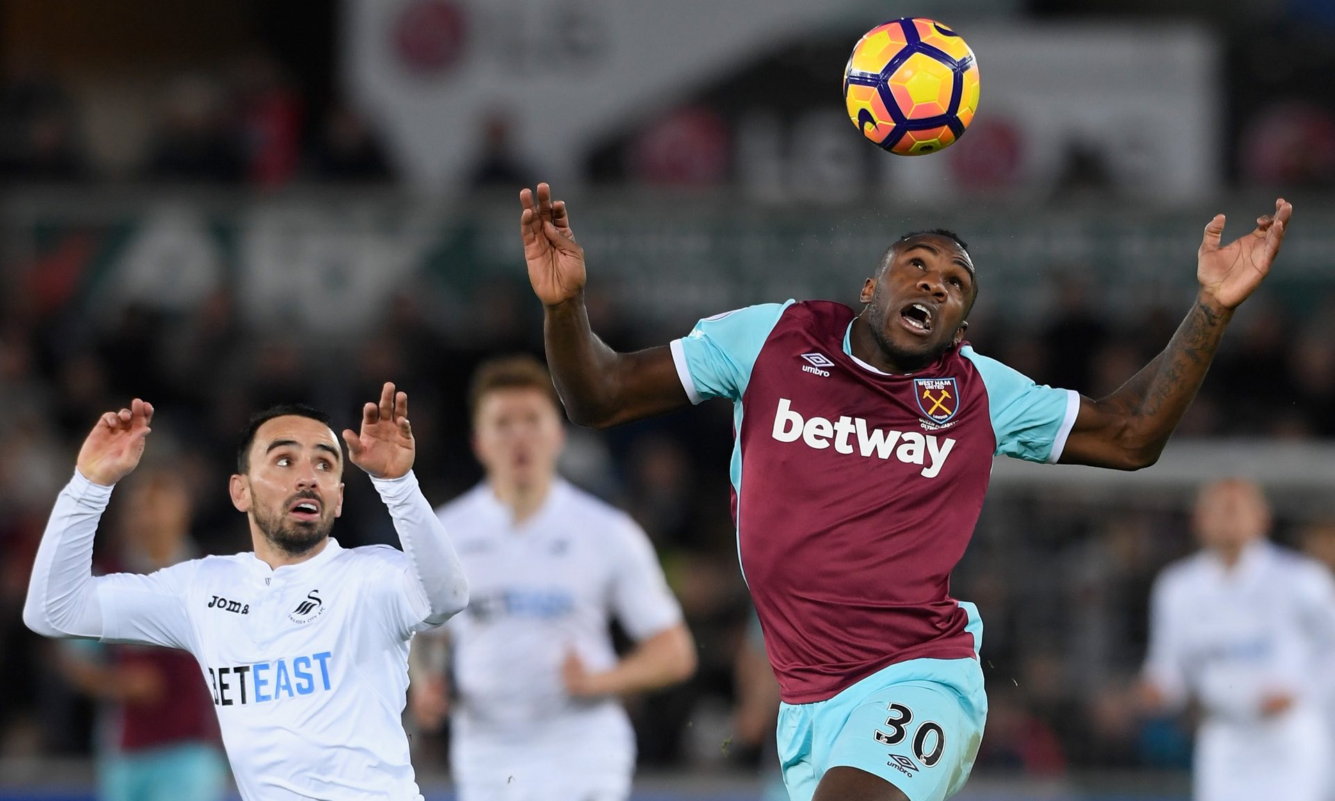 入浙江队 入浙江队